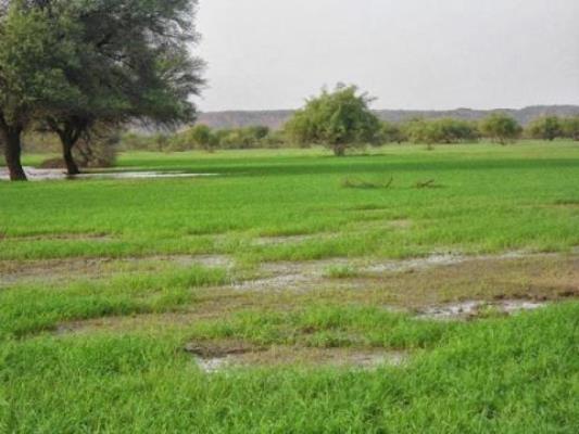 تساقط أمطار متوسطة إلى غزيرة على مناطق واسعة من موريتانيا(مقاييس)