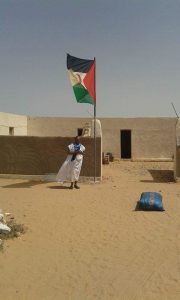 الرئيس الموريتاني اعل ولد محمد فال