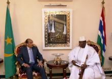 يحي جامى